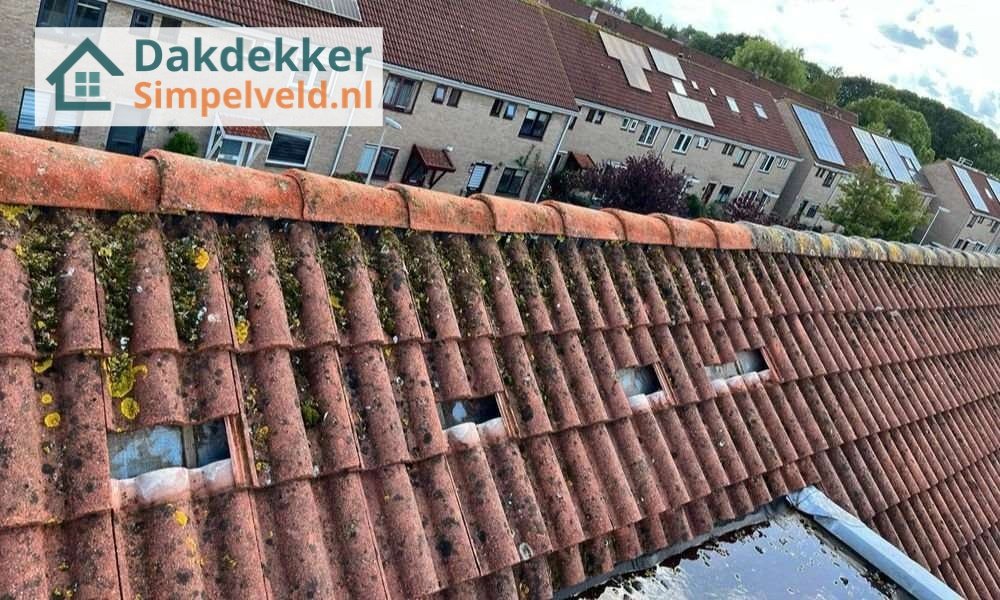 Een dakrenovatie bij oud pannendak Een dakrenovatie bij oud pannendak in Simpelveld